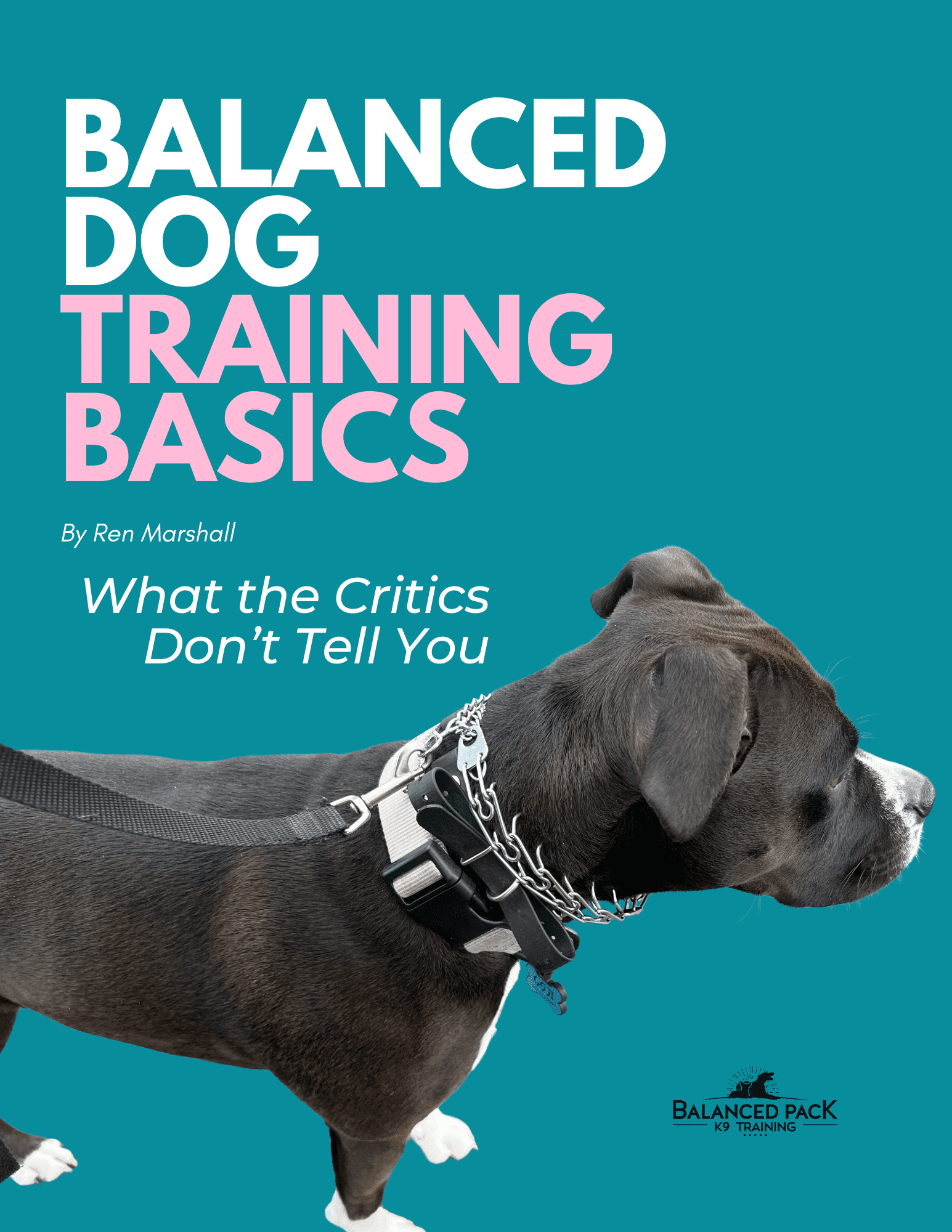 Blue collar cheap k9 training